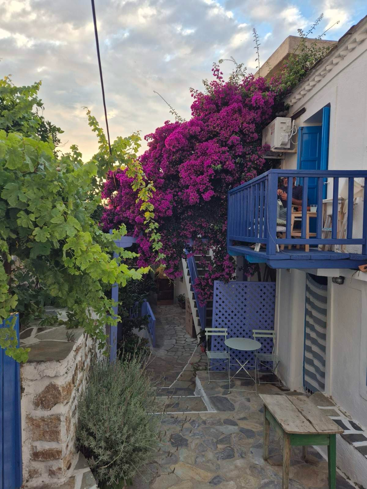 Bougainvillea over a blue balcony in Alonissos