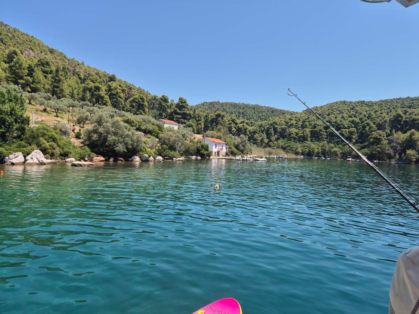 A quiet green cove seen from the yacht